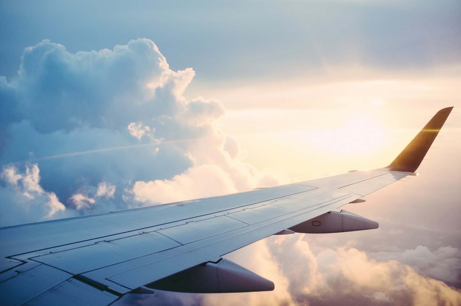 Air freight — AirScanner